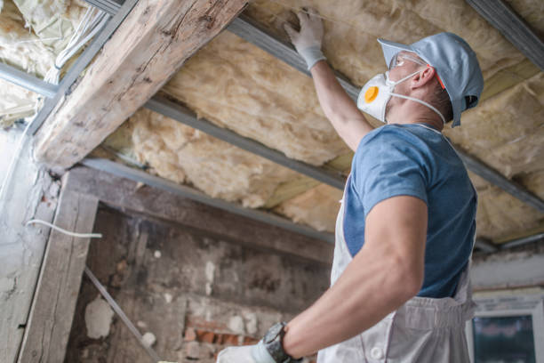 Best Affordable Insulation Services  in Maggie Valley, NC