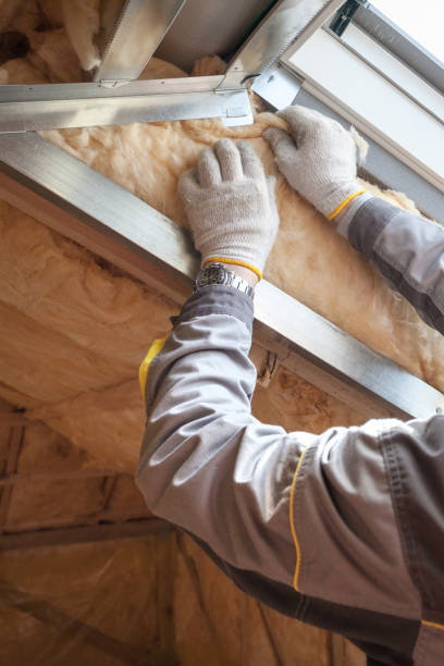 Best Residential Insulation Services  in Maggie Valley, NC