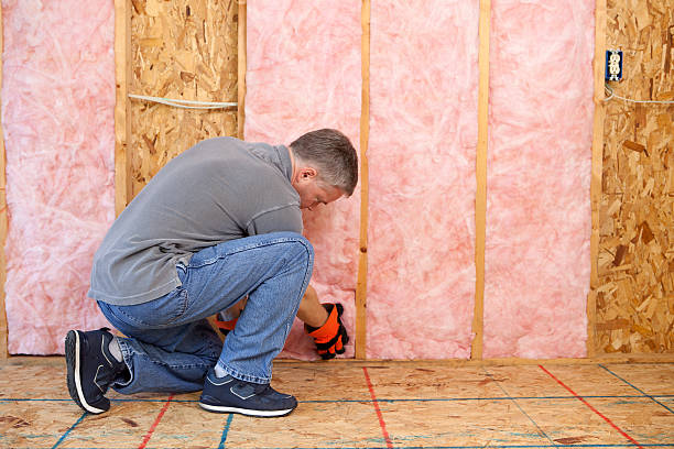 Best Blown-in Insulation  in Maggie Valley, NC