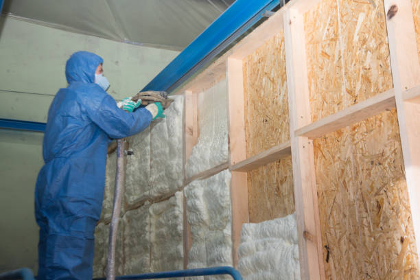 Best Garage Insulation Installation  in Maggie Valley, NC