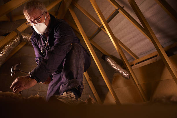 Best Attic Insulation Installation  in Maggie Valley, NC